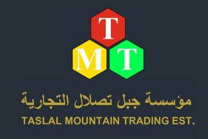 Best digital marketing agency client TMT