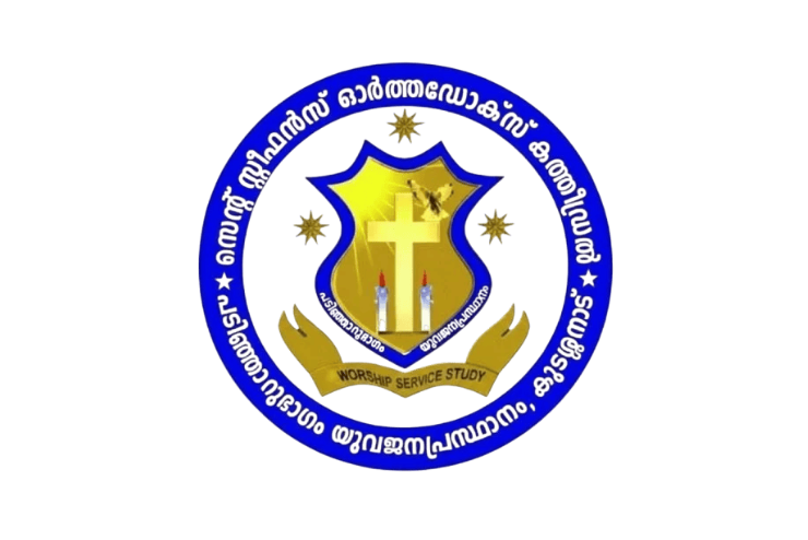 🇮🇳 India<br>Organization 